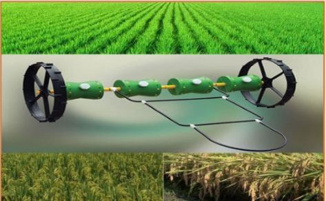Drum Seeder ဖြင့် စပါးတိုက်ရိုက်မျိုးစေ့ချစိုက်ပျိုးနည်း